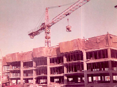 Viglione Immobilier 1968
